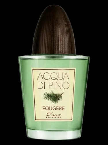 Pino Silvestre Acqua di Pino Fougere