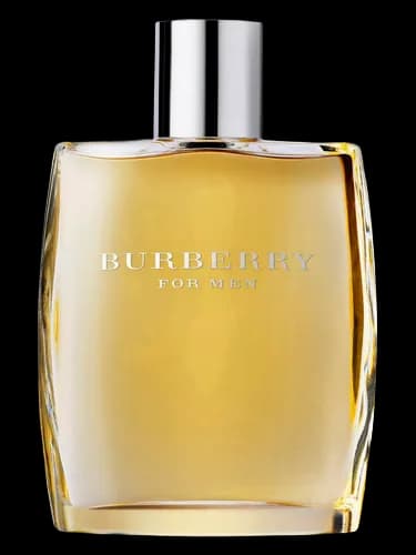 Burberry Burberry Men