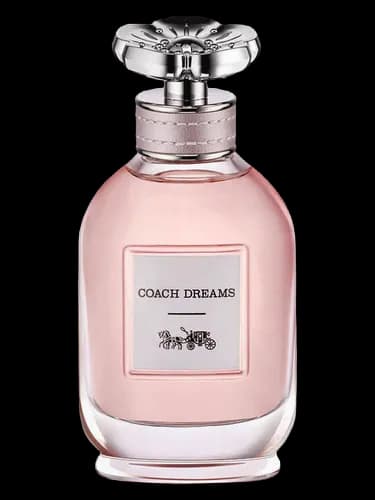 Coach Coach Dreams