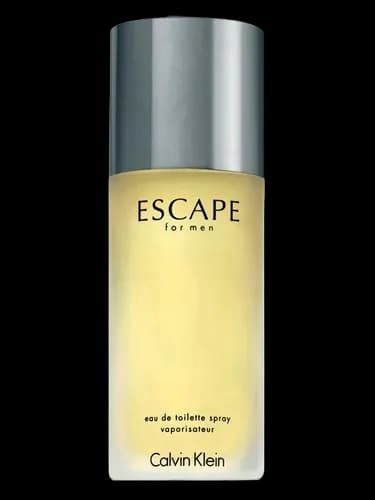 Calvin Klein Escape for Men