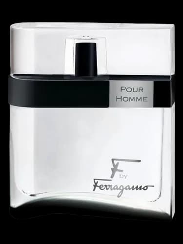 Salvatore Ferragamo F by Ferragamo Black