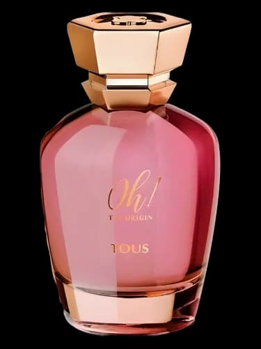 Tous Oh! The Origin (2018)
