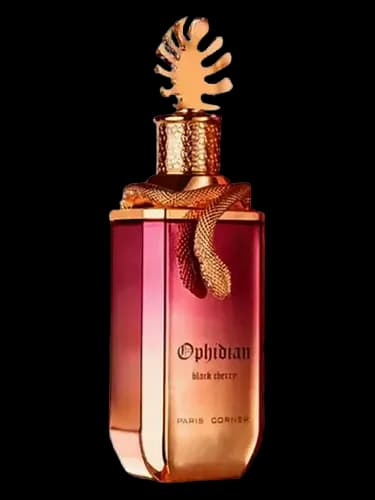 Paris Corner Ophidian Black Cherry