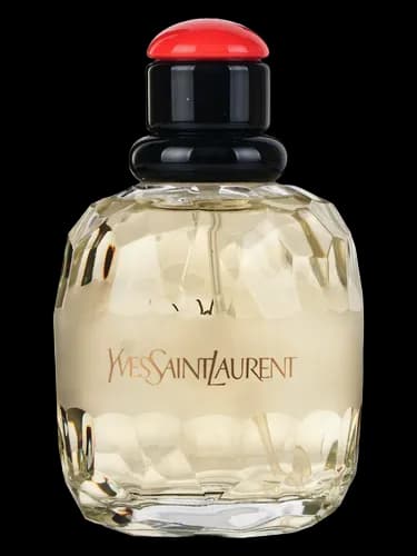 Yves Saint Laurent Paris