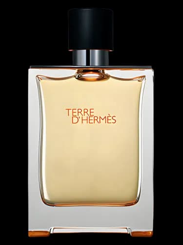Hermes Terre d'Hermès