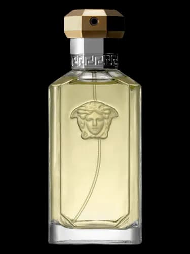 Versace The Dreamer