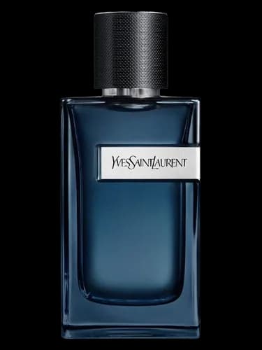 Yves Saint Laurent Y Eau de Parfum Intense