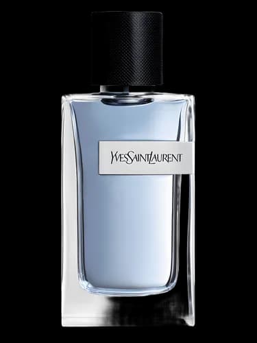 Yves Saint Laurent Yves Saint Laurent Y