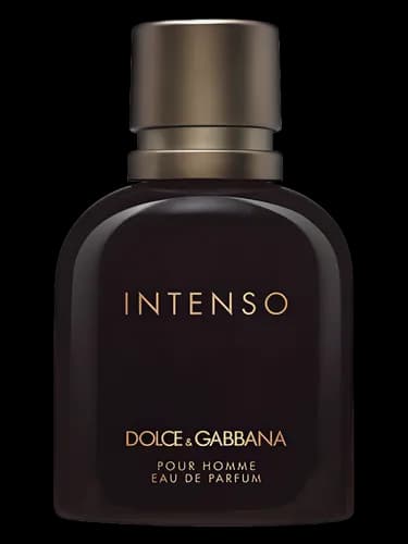 Dolce & Gabbana Dolce&Gabbana Pour Homme Intenso