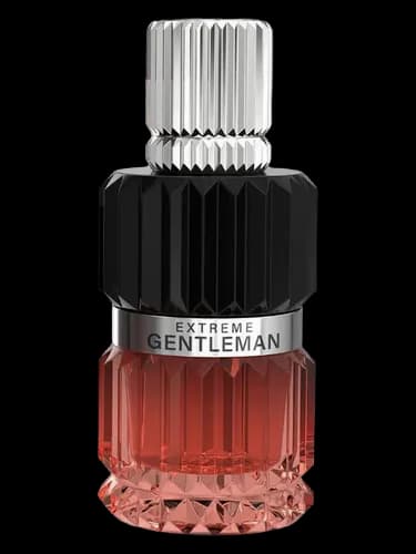 Mirada Extreme Gentleman