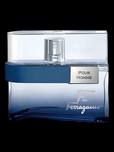Salvatore Ferragamo F by Ferragamo Free Time