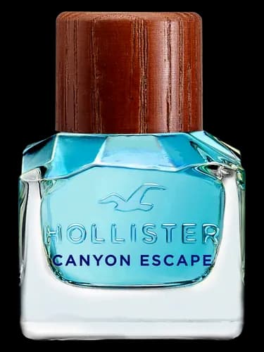 Hollister Hollister Canyon Escape Man