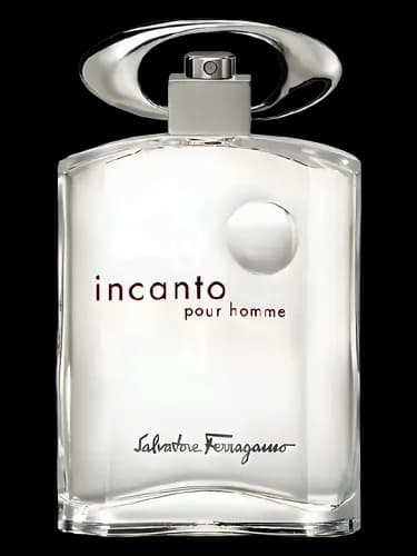 Salvatore Ferragamo Incanto Pour Homme