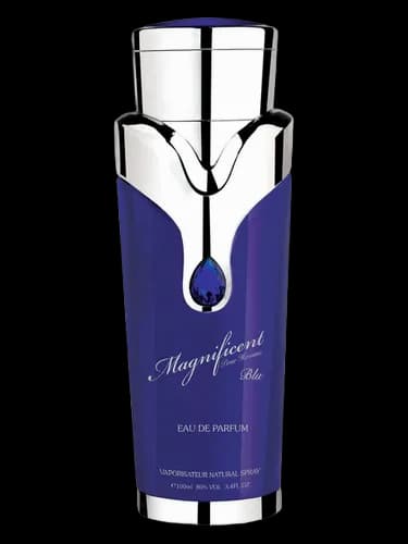 Armaf Magnificent Blue Pour Homme